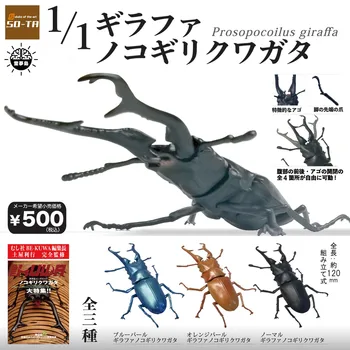Vabzdžių Serijos Gashapon Žaislai Didelio Dydžio Skalę 1/1 Imitavimo Modelį Prosopocoilus Žirafa, Elnias Beetle Modelio Ornamentu Žaislai
