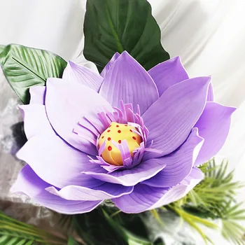 Milžinišką Lotus Putų Gėlės 